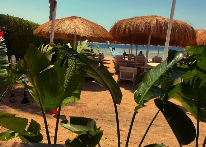 Hills - Cosy With Pool View And Free Access Daire Şarm El-Şeyh